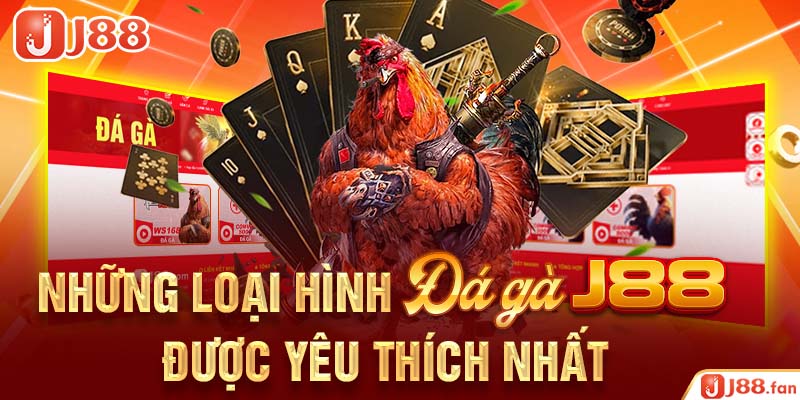 Đá Gà J88 - Mãn Nhãn Với Những Trận Chọi Kê Mang Đẳng Cấp Quốc Tế 7 Những loại hình đá gà J88 được yêu thích nhất